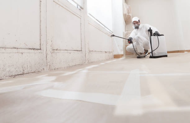 24/7 Emergency Attic Mold Removal experts in Malvern, PA