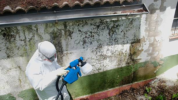 Top rated local Mold Cleanup specialists in Malvern, PA